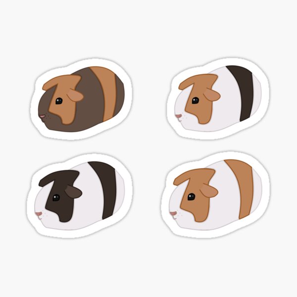 Guinea Pig Pack Sticker