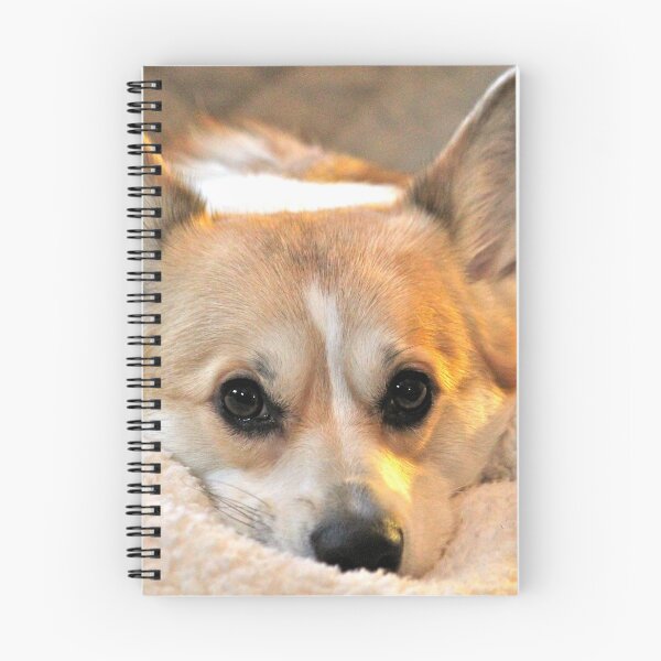 Item preview, Corgi Closeup designed and sold by WhiteCatPhoto.