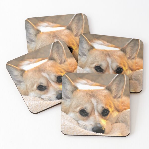 Item preview, Corgi Closeup designed and sold by WhiteCatPhoto.