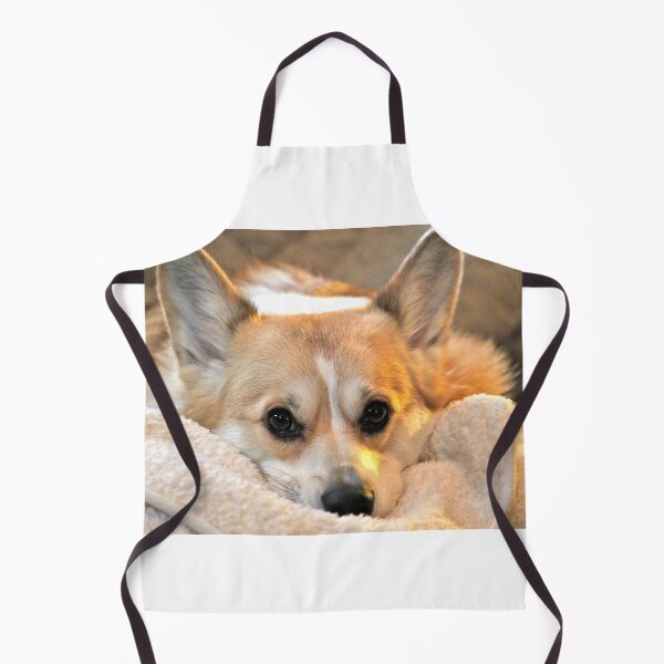 Item preview, Corgi Closeup designed and sold by WhiteCatPhoto.