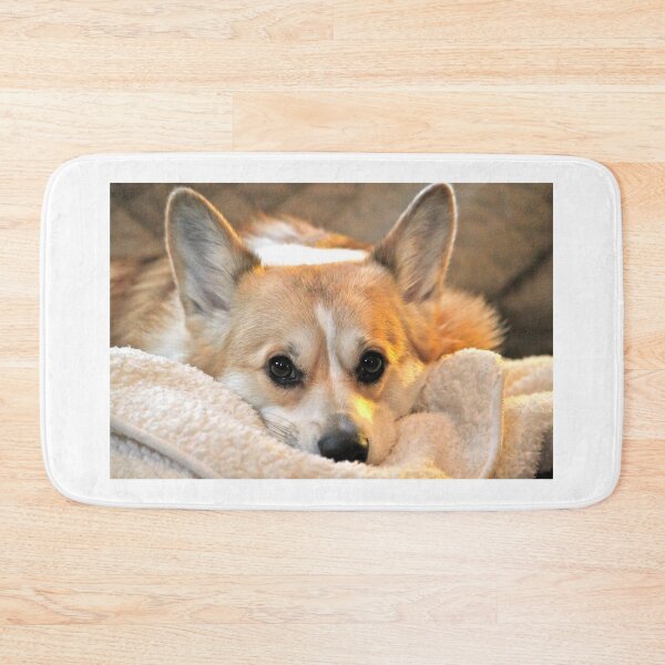 Item preview, Corgi Closeup designed and sold by WhiteCatPhoto.