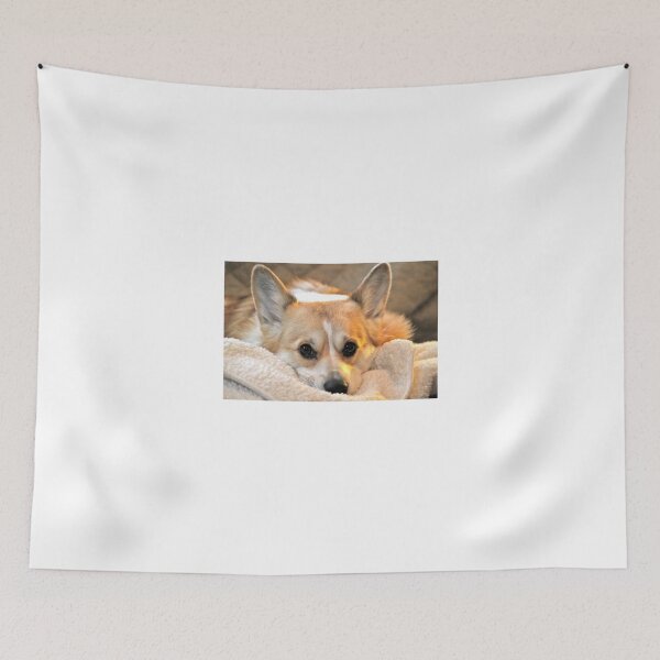 Item preview, Corgi Closeup designed and sold by WhiteCatPhoto.