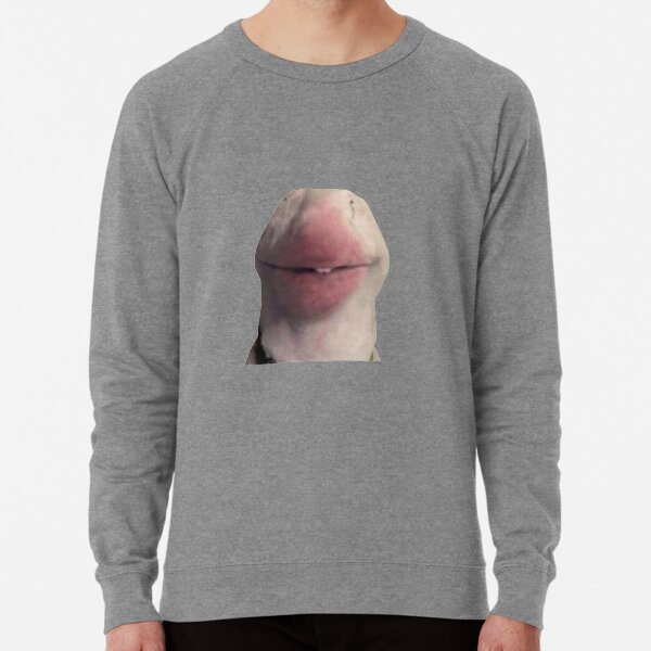Walter Lightweight Sweatshirt