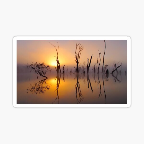 Sunrise at the Swamp Sticker