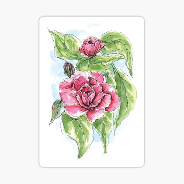 Camellia Sticker