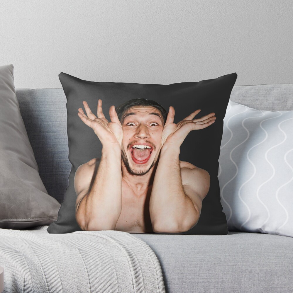 https://ih1.redbubble.net/image.1379016344.8311/throwpillow,small,1000x-bg,f8f8f8-c,0,200,1000,1000.jpg