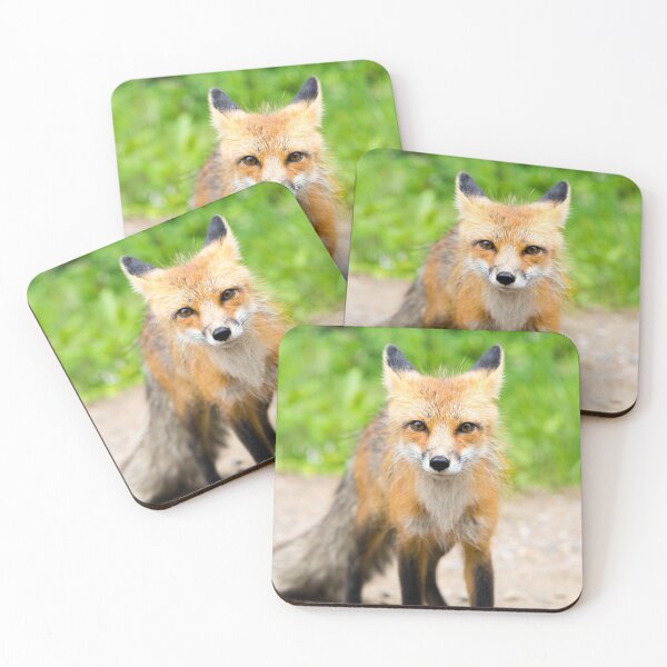 Item preview, Red Fox 2 designed and sold by EleanorWalker.