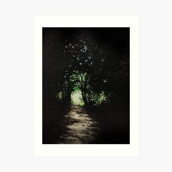 Path Art Print