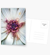 Waking up with a big smile and huge bedhead Postcards