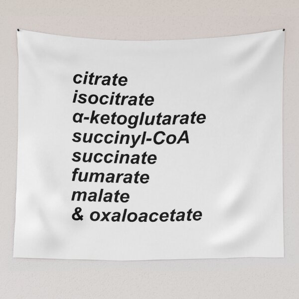 Item preview, the citric acid cycle sticker designed and sold by heidieliza.