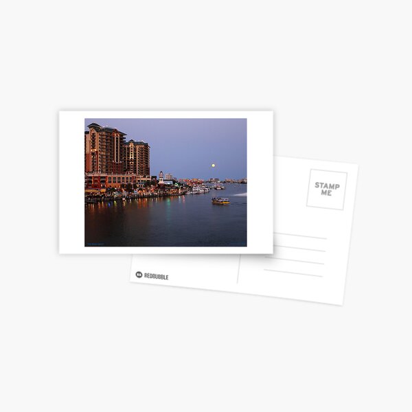 Full Moon Harbor Postcard