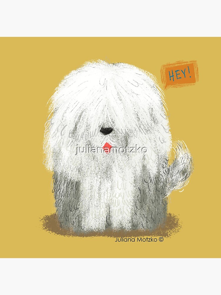 Old English Sheepdog by julianamotzko