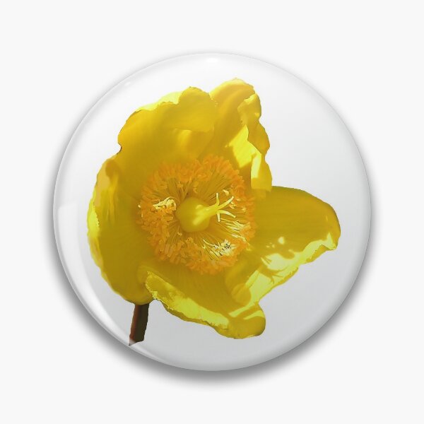 Item preview, St. John's Wort designed and sold by Betty Mackey.