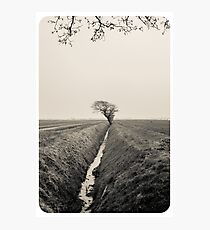 B&W Landscape Triptych III Fotodruck
