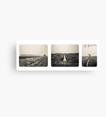 B&W Landscape Triptych Leinwanddruck