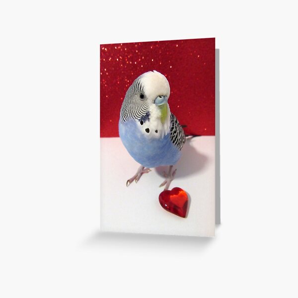 Budgie Love Greeting Card