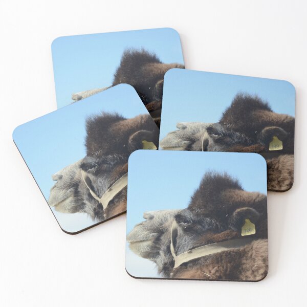 Item preview, Close-up of a camel's face. designed and sold by EAnneH.