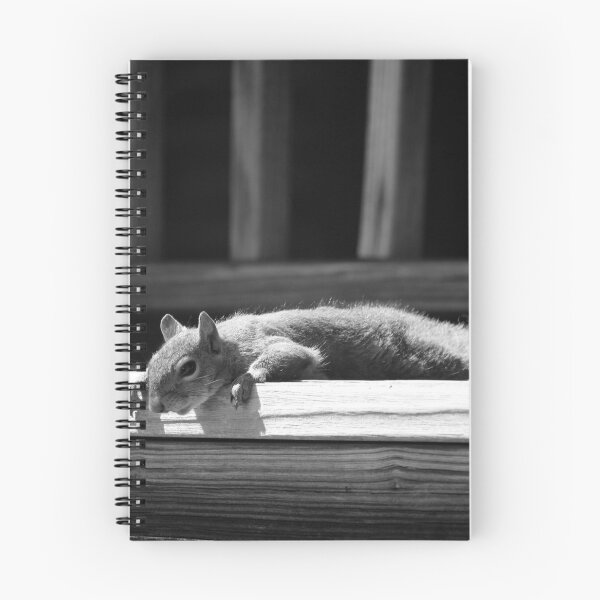 Item preview, Squirrel Break designed and sold by Cynthia48.