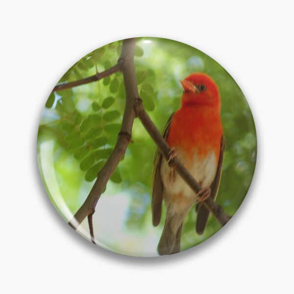 Item preview, REDHEADED WEAVER - Anaplectes rubriceps designed and sold by Magriet Meintjes.