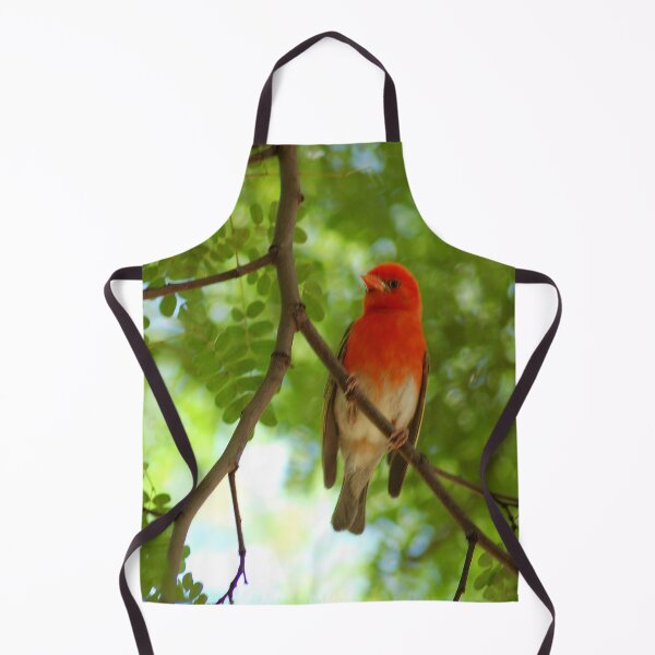 Item preview, REDHEADED WEAVER - Anaplectes rubriceps designed and sold by Magriet Meintjes.