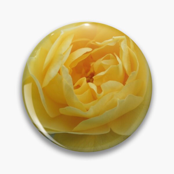 Item preview, Beautiful single yellow garden rose flower macro designed and sold by Anna Lemos.