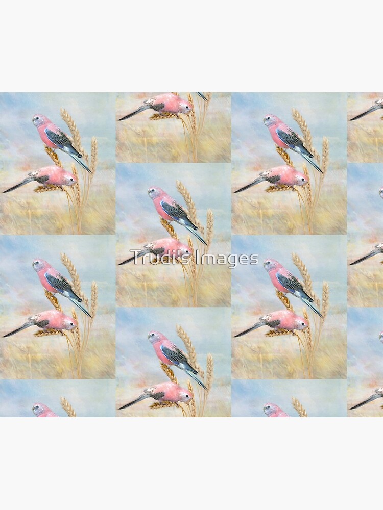 Bourkes Parrot by PicsByT
