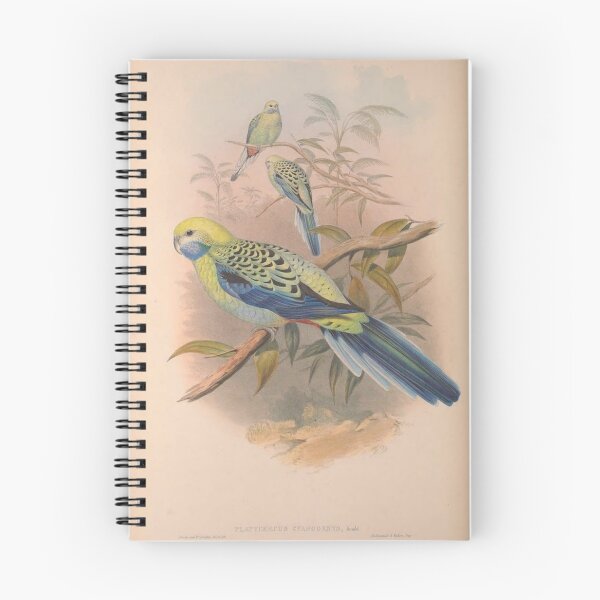 Item preview, Birds of Australia 1851 - 1869 designed and sold by uniquesparrow.