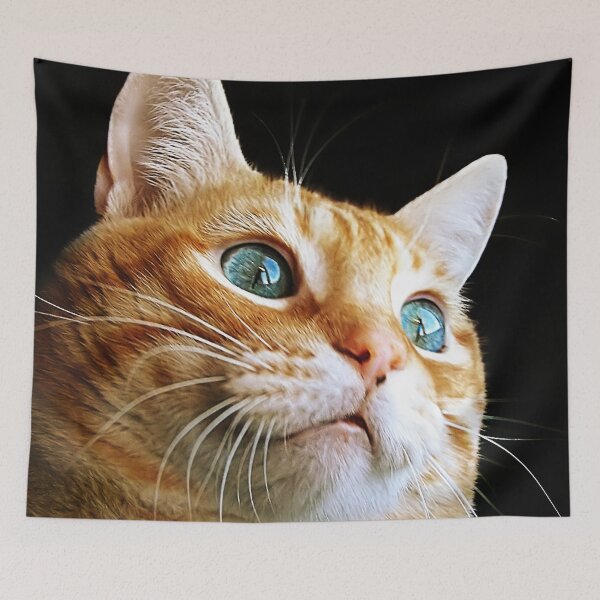 Item preview, Cute Cat designed and sold by Maria  Gonzalez.