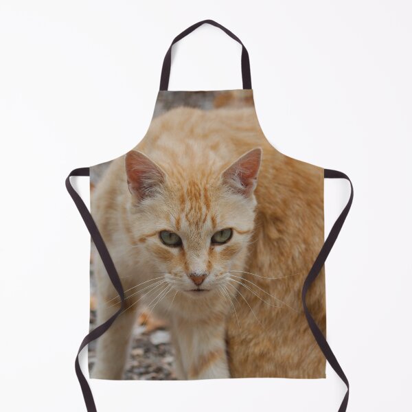 Item preview, Ginger Cat designed and sold by KarenWoodArt.