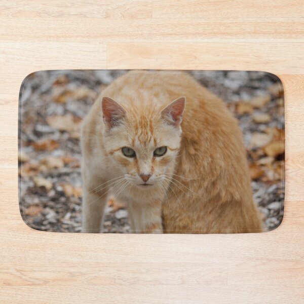 Item preview, Ginger Cat designed and sold by KarenWoodArt.