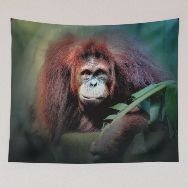 Item preview, Sumatran Orangutan  designed and sold by Savannah Gibbs.