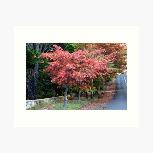 Item preview, Autumn - Wentworth St Blackheath designed and sold by Geoff Smith.