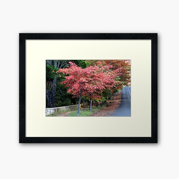 Item preview, Autumn - Wentworth St Blackheath designed and sold by Geoff Smith.