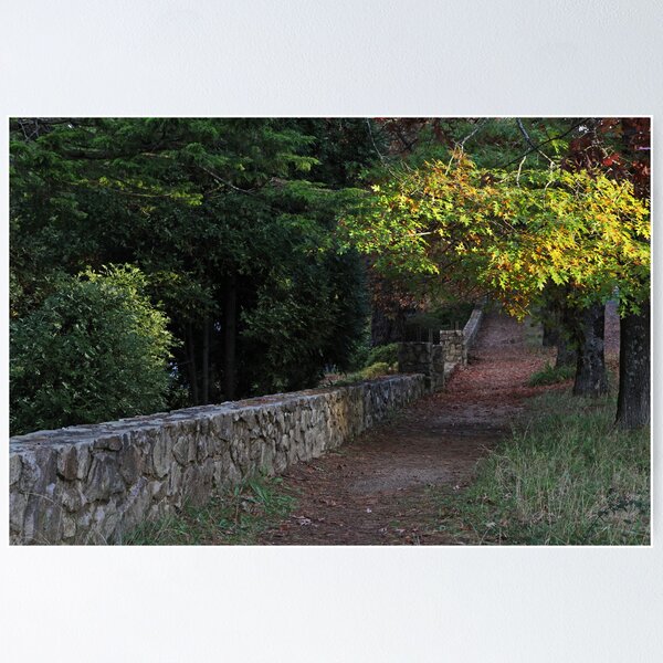 Item preview, Autumn - Blackheath designed and sold by Geoff Smith.