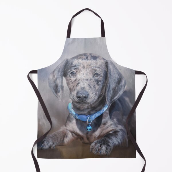 Item preview, Dapple Dachshund designed and sold by Elisabeth Lucas.