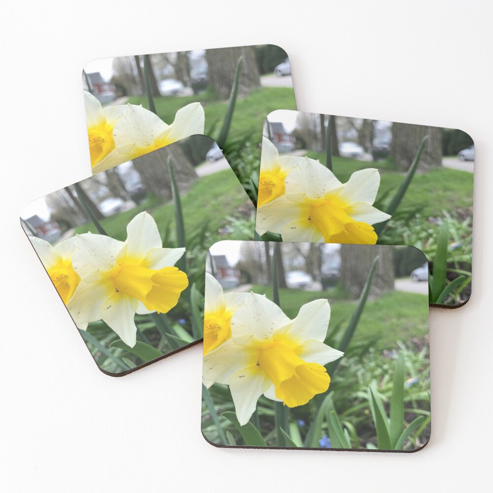 Item preview, Coasters (Set of 4) designed and sold by Jkitzes.