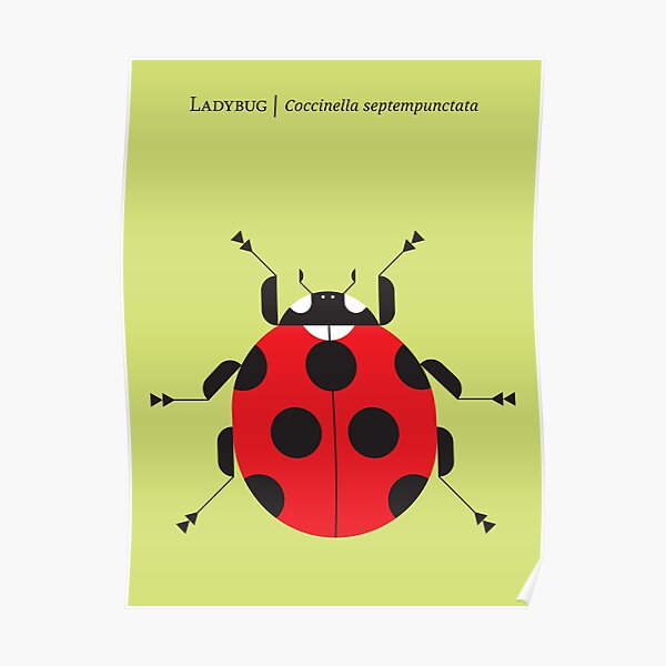 Nature: Ladybug Yellow Poster
