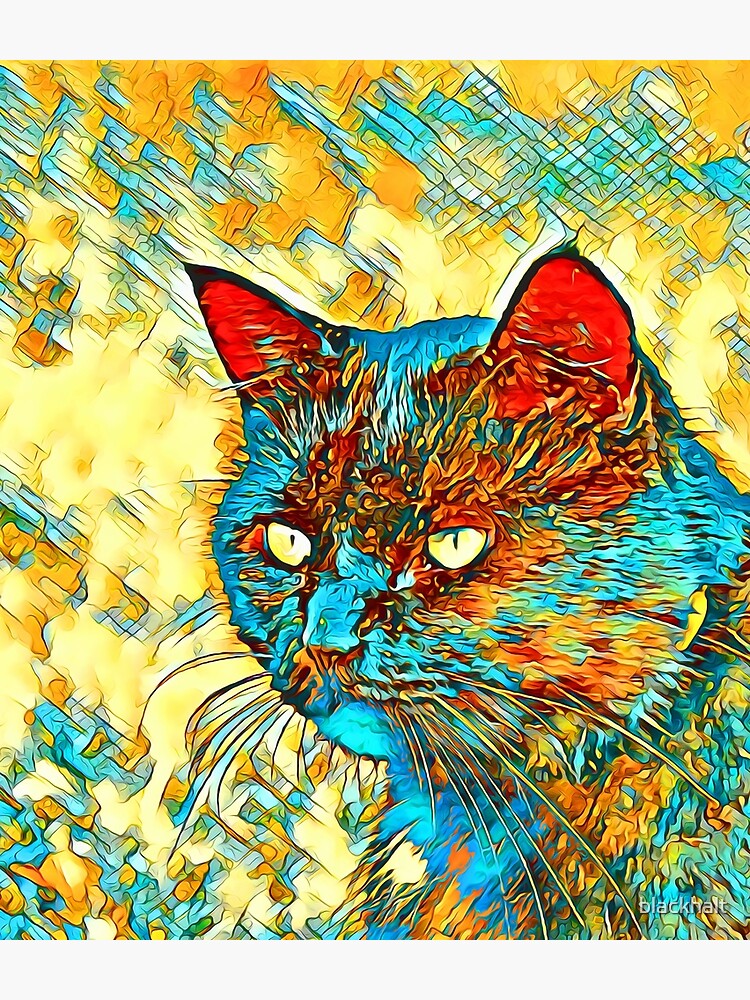 Catus by blackhalt