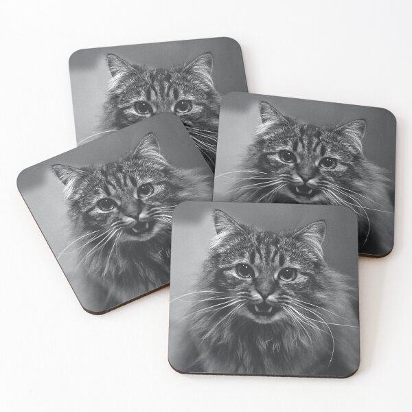 Item preview, Black and White Cat designed and sold by DrakeDuck.