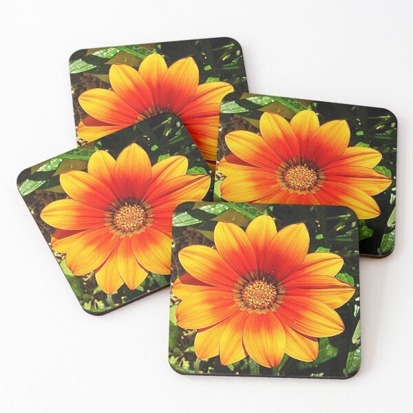 Item preview, African Daisy (Arctotis) designed and sold by Maria  Gonzalez.