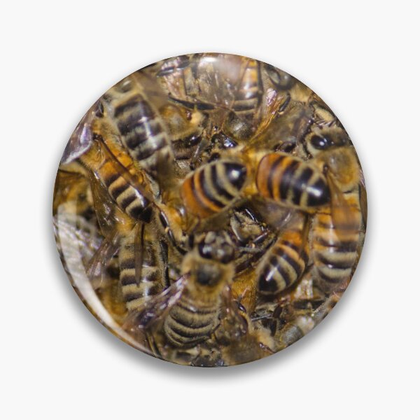 Item preview, Bee Yourself  designed and sold by Gary Hutchings.