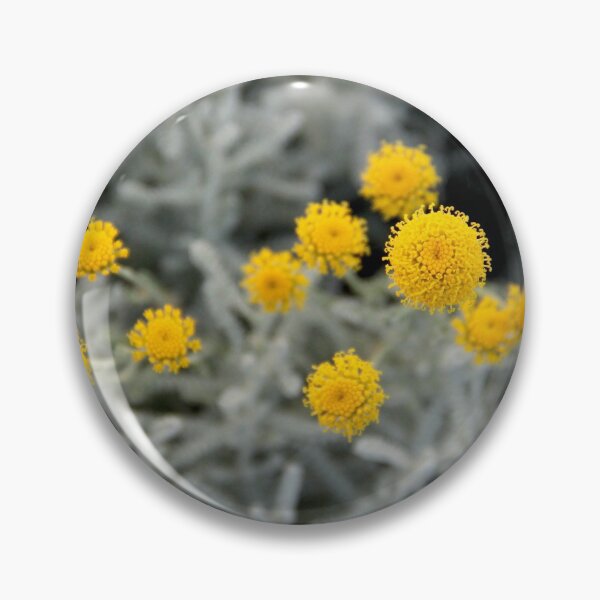 Item preview, Cotton lavender medicinal silver herb garden	 designed and sold by EstelleRossetti.