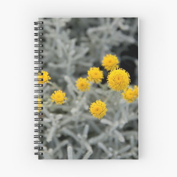 Item preview, Cotton lavender medicinal silver herb garden	 designed and sold by EstelleRossetti.