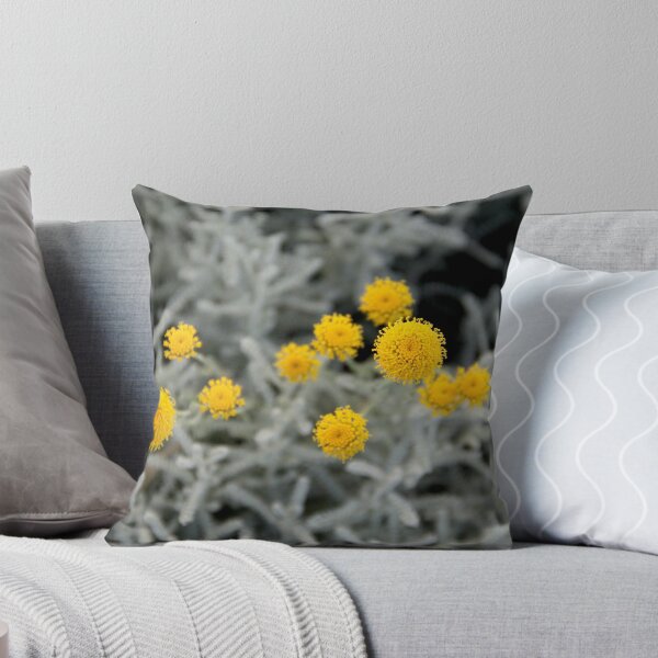 Item preview, Cotton lavender medicinal silver herb garden	 designed and sold by EstelleRossetti.