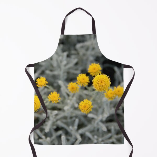 Item preview, Cotton lavender medicinal silver herb garden designed and sold by EstelleRossetti.
