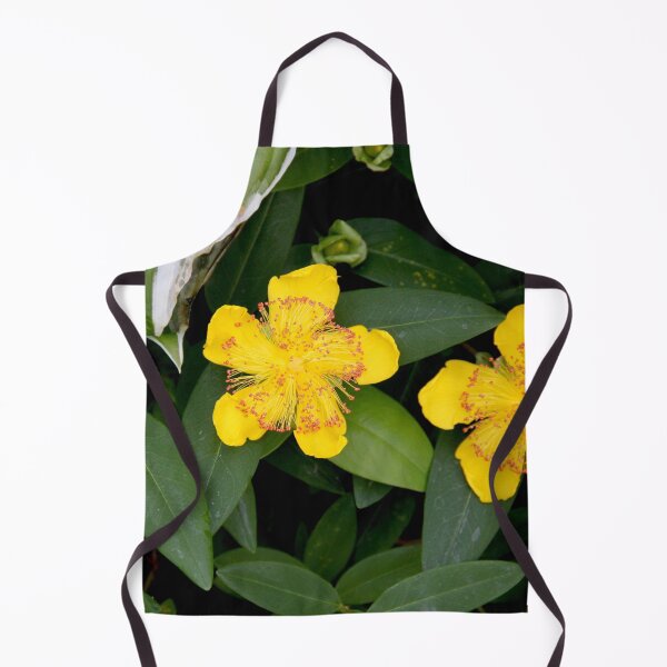Item preview, Yellow opened spring perennial flower  designed and sold by EstelleRossetti.