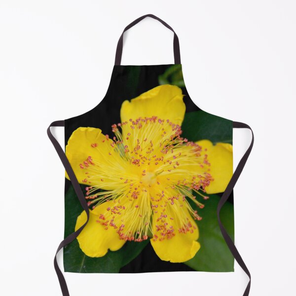 Item preview, Yellow opened spring perennial flower  designed and sold by EstelleRossetti.