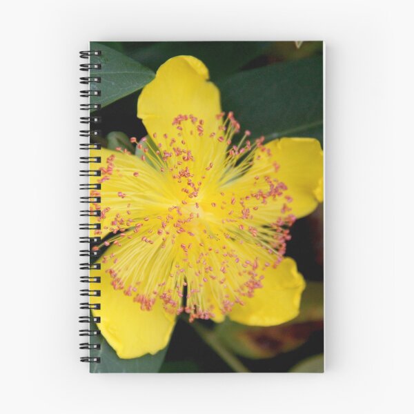 Item preview, Yellow opened spring perennial flower  designed and sold by EstelleRossetti.