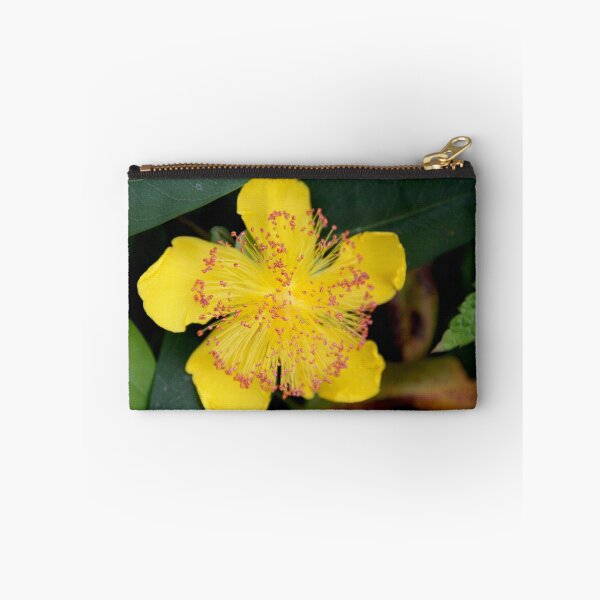 Item preview, Yellow opened spring perennial flower  designed and sold by EstelleRossetti.