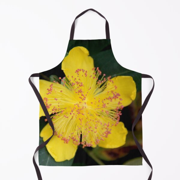 Item preview, Yellow opened spring perennial flower  designed and sold by EstelleRossetti.